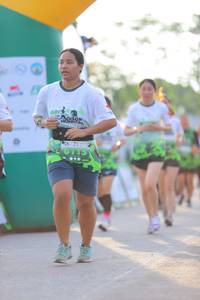 BIB: 
                            <button type="button" onclick="openModal(3643545)" class="btn btn-primary btn-sm float-right btn-popup" data-toggle="modal" data-target=".modal-high-quality">
                        <i class="fas fa-shopping-cart"></i> Add to Cart
                    </button>
                                            <button type="button" onclick="isThisMe(3643545, true)" class="btn btn-success btn-sm float-right btn-popup btn-isme hidden" data-toggle="tooltip" data-placement="bottom" title="นี่คือรูปของคุณใช่ไหม คลิกที่นี่เพื่อเอาเข้าอัลบั้ม">
                        <i class="fas fa-plus"></i> Add to album
                    </button>
                    <button type="button" onclick="isThisMe(3643545, false)" class="btn btn-warning btn-sm float-right btn-popup btn-isnotme hidden">
                        <i class="fas fa-ban"></i> Remove from album
                    </button>